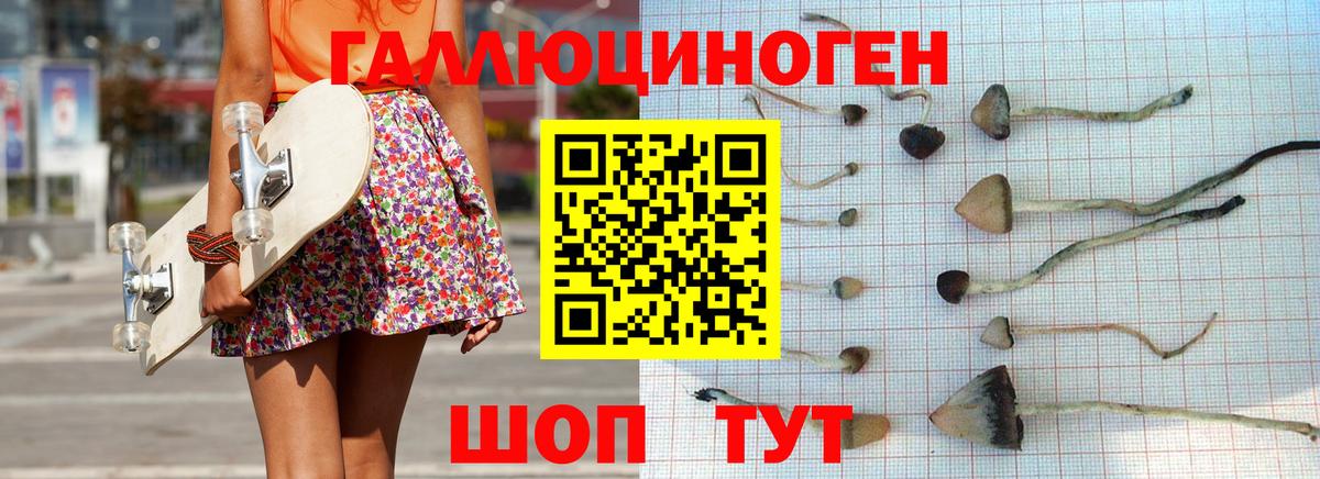 Псилоцибиновые грибы MAGIC MUSHROOMS  Псилоцибиновые грибы Psilocybine cubensis  Вход с VPN  Реутов 