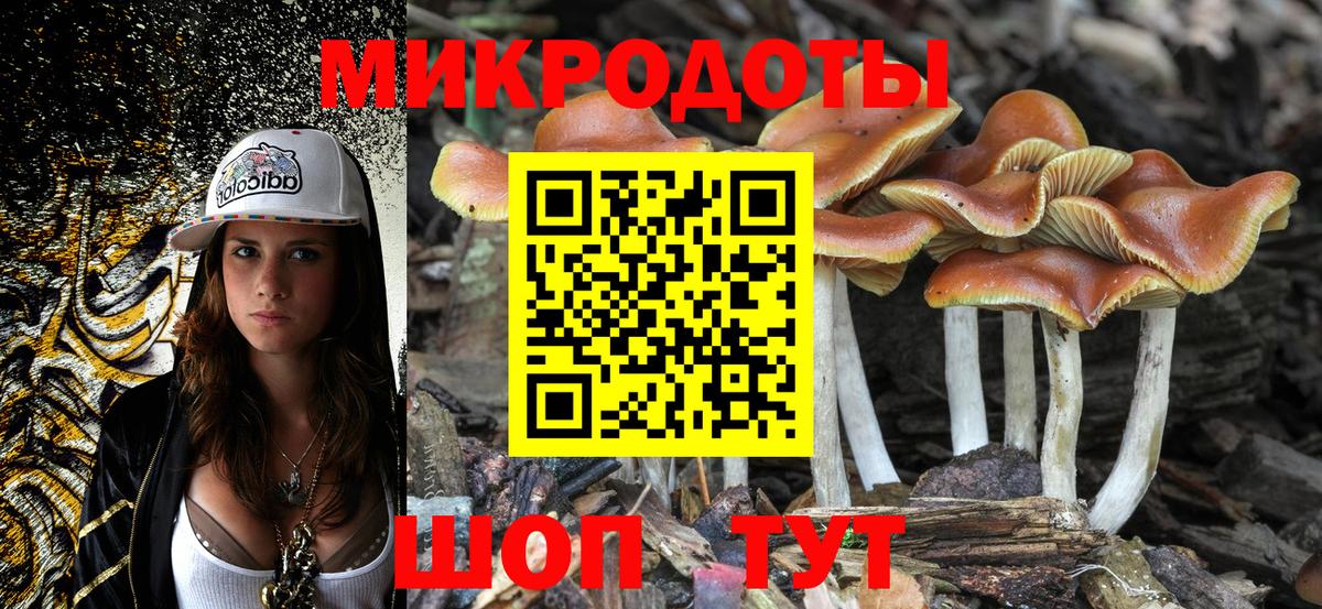 Галлюциногенные грибы прущие грибы Реутов